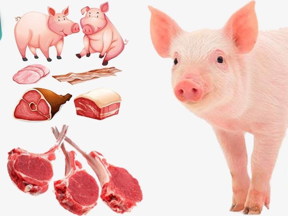 حكم اكل لحم الخنزير