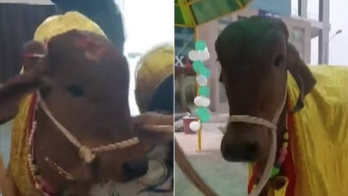 ���� ���.. ���� ���� ����� 179.jpg