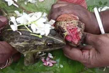 ���� ����.. ����� ���� ���� 145.jpg