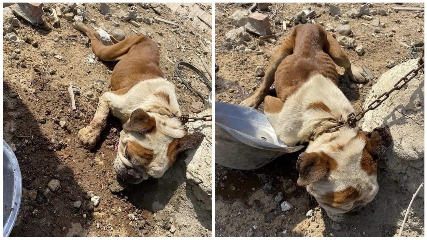 ����� ������ ����� ���� ����� 302.jpg