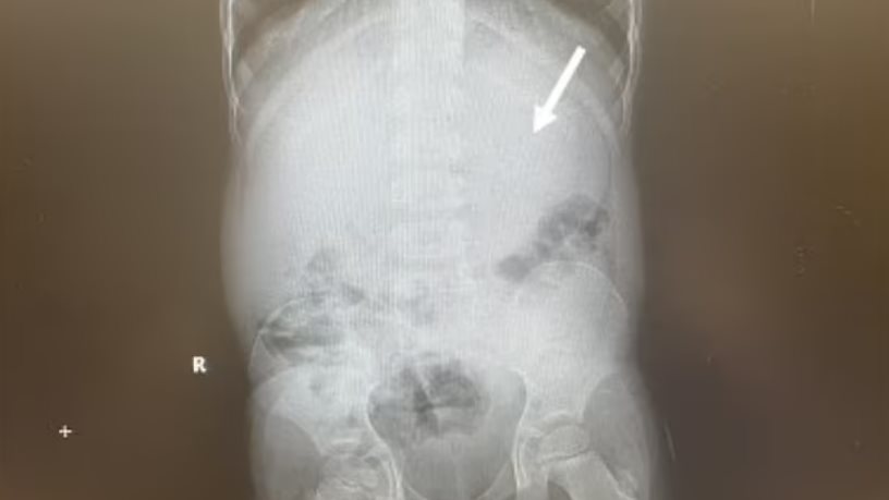 �����.. ����� ������ ����� 319.png