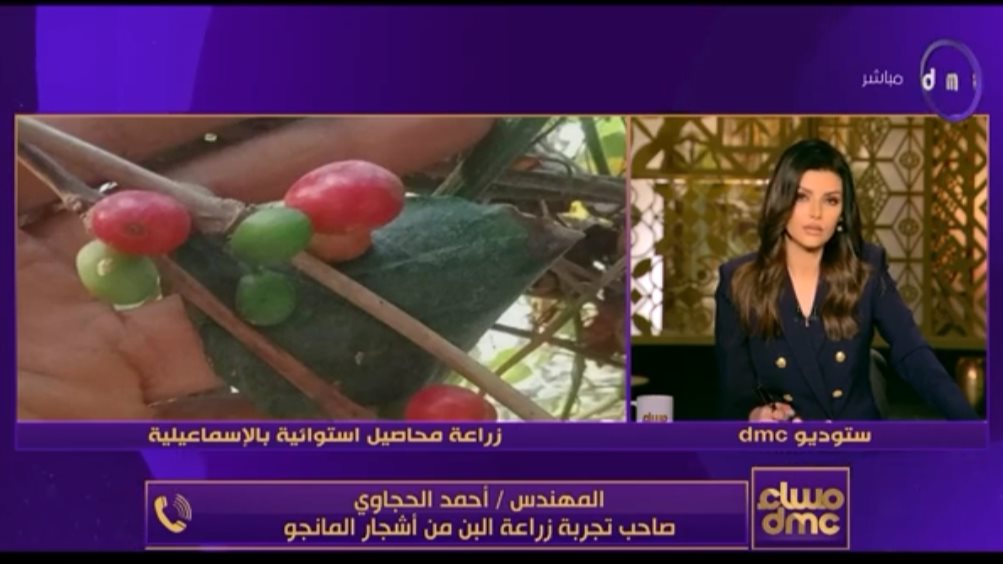 شجر البن