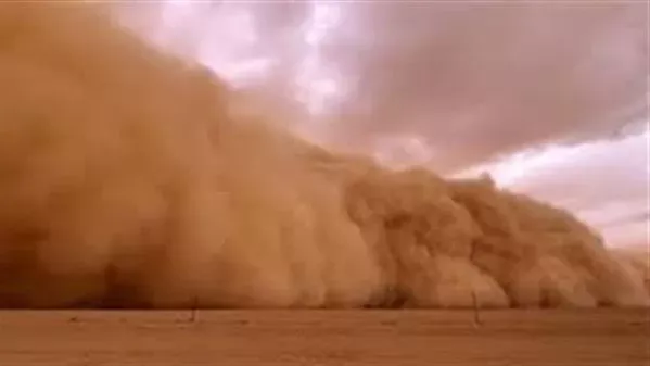 الرُضع يستنشقون الأتربة والغبار 20 مرة ضعف الكبار