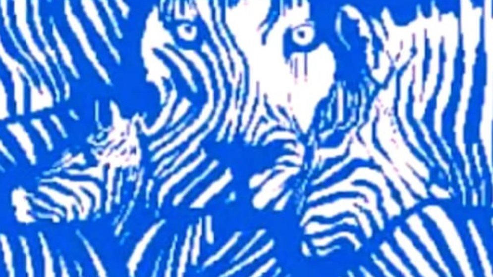 ������� ��������.. ���� ���� ���� 869.jpg