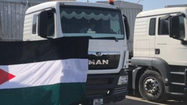 80 شاحنة مساعدات ووقود في طريقها إلى قطاع غزة.. تفاصيل 80 شاحنة مساعدات ووقود في طريقها إلى قطاع غزة.. تفاصيل
