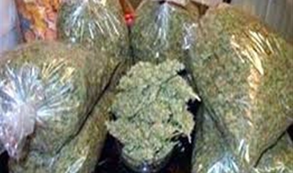 ضبط 1.5 كيلو بانجو بحوزة عاطلين بالوادي الجديد