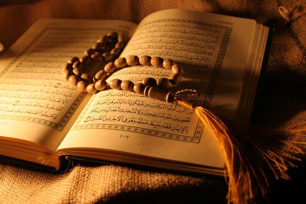 علي جمعة الأنبياء أحياء في قبورهم والأرض لا تأكل أجسادهم