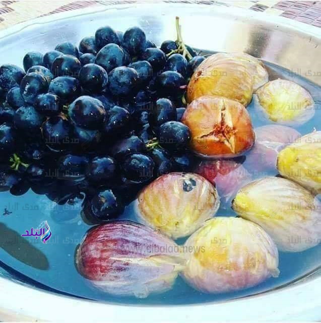 التين والزيتون والبطيخ الصحراوي خريطة أفضل المحاصيل الزراعية في مطروح صور