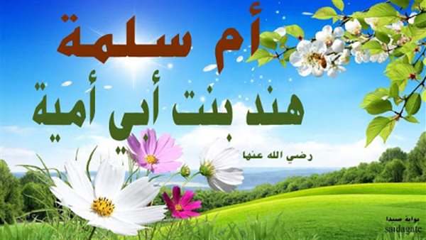 أم سلمة إحدى زوجات النبي وصفت بالرأى الصائب بعدما استشارها الرسول فى الحديبية فبانت حكمتها