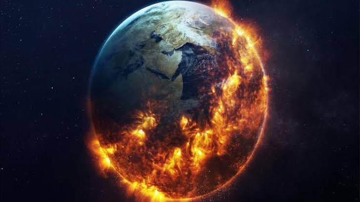 لإهمال بعض البشر وجشعهم كوكب الأرض مهدد بـ الزوال بـ انقراض آلالاف الحيوانات صحافة الجديد منوعات