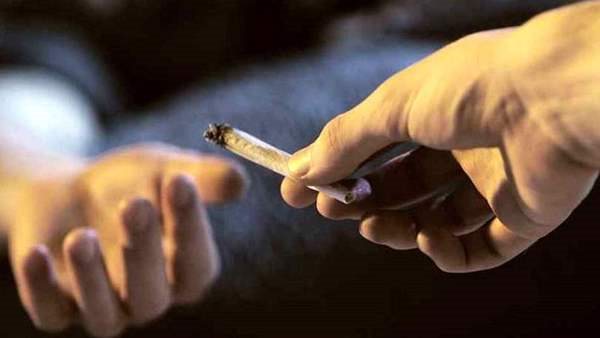 قبل الفصل نهائيا مكافحة الإدمان يوجه تحذيرا لـ الموظف متعاطي المخدرات فيديو