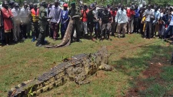 قتل 80 شخصًا وخطف الأطفال.. تمساح أسامة بن لادن روع أوغندا