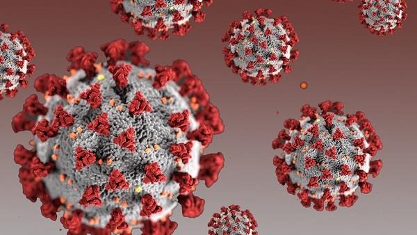 العراق.. 135 حالة إصابة جديدة بفيروس كورونا العراق.. 135 حالة إصابة جديدة بفيروس كورونا