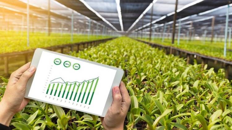 الأقمار الصناعية في الزراعة