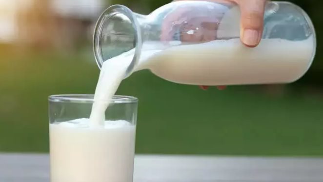 منتجو الألبان: بنبيع اللبن بسعر 17 جنيها وتكلفته 21