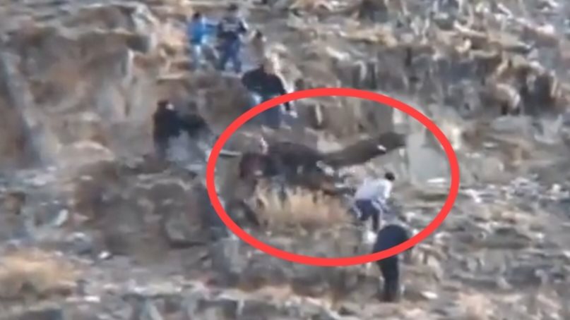 ����� ���� ���� ������� ���� 351.jpg