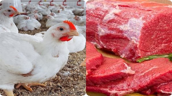 عاجل.. مفاجأة بشأن أسعار اللحوم والدواجن وحالة الطقس في رمضان.. أخبار تهمك