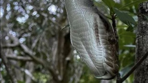 ����� ���� ����� ���� �������� 90.jpg