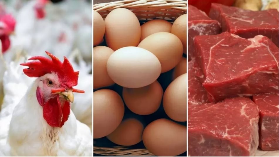 أسعار اليوم| 32 جنيها انخفاضا في البيض.. الدواجن تبدأ من 54.. واشتري اللحمة  البلدي بـ 160