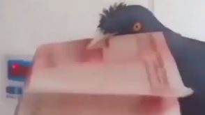      991.png